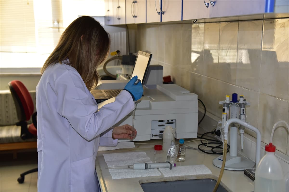 Balıkesir Üniversitesi: Projeler 3 yılda 9 kat arttı