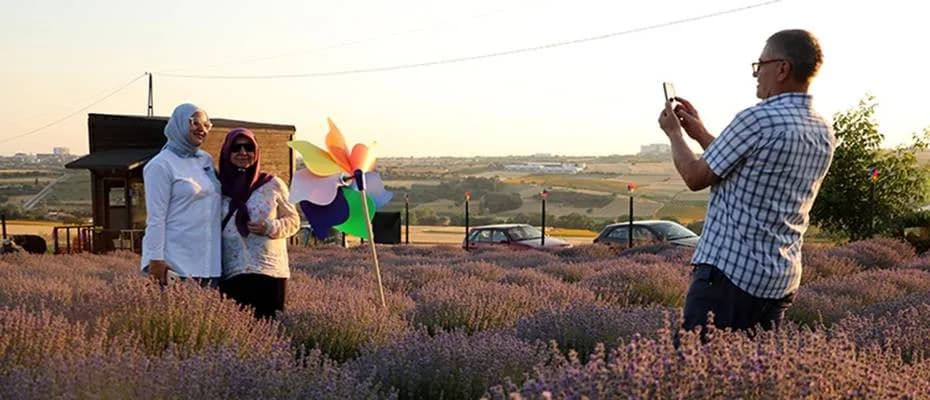 Tekirdağ, artan lavanta bahçeleriyle daha fazla turist çekmek istiyor