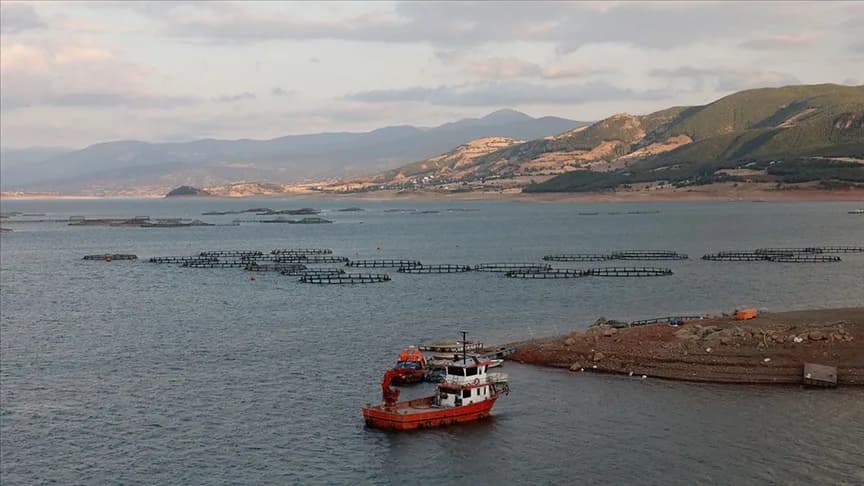 Tokat’tan Norveç, Hollanda, Rusya ve Japonya’ya balık ihracatı