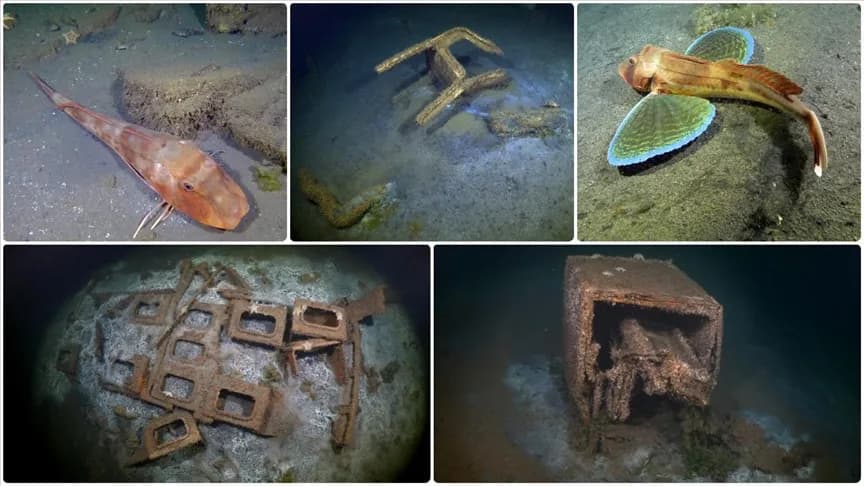 Marmara Depremi’nin merkez üssü Gölcük’te deniz dibindeki afet izleri görüntülendi