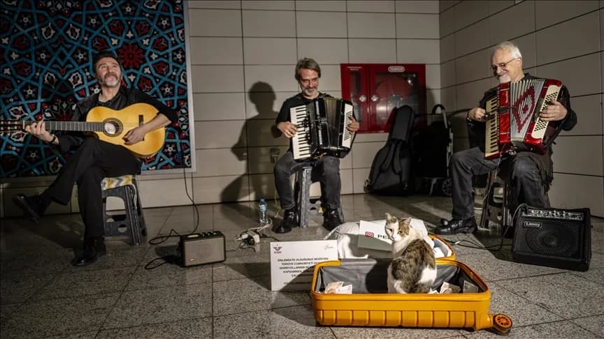 Sirkeci’de sokak sanatçılarına eşlik eden kedi yürekleri ısıtıyor