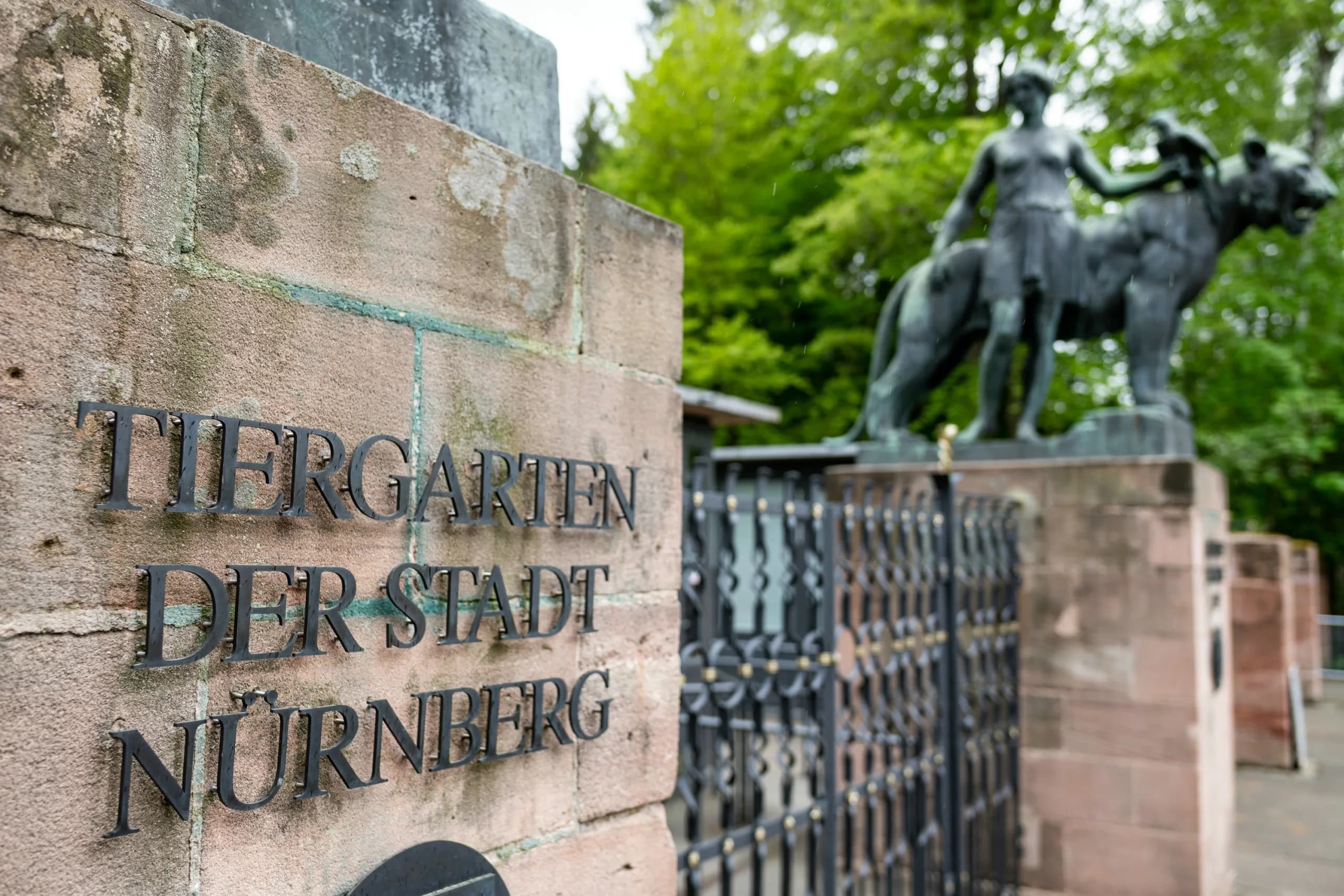 Nürnberg Hayvanat Bahçesi Giriş Ücretlerine Zam
