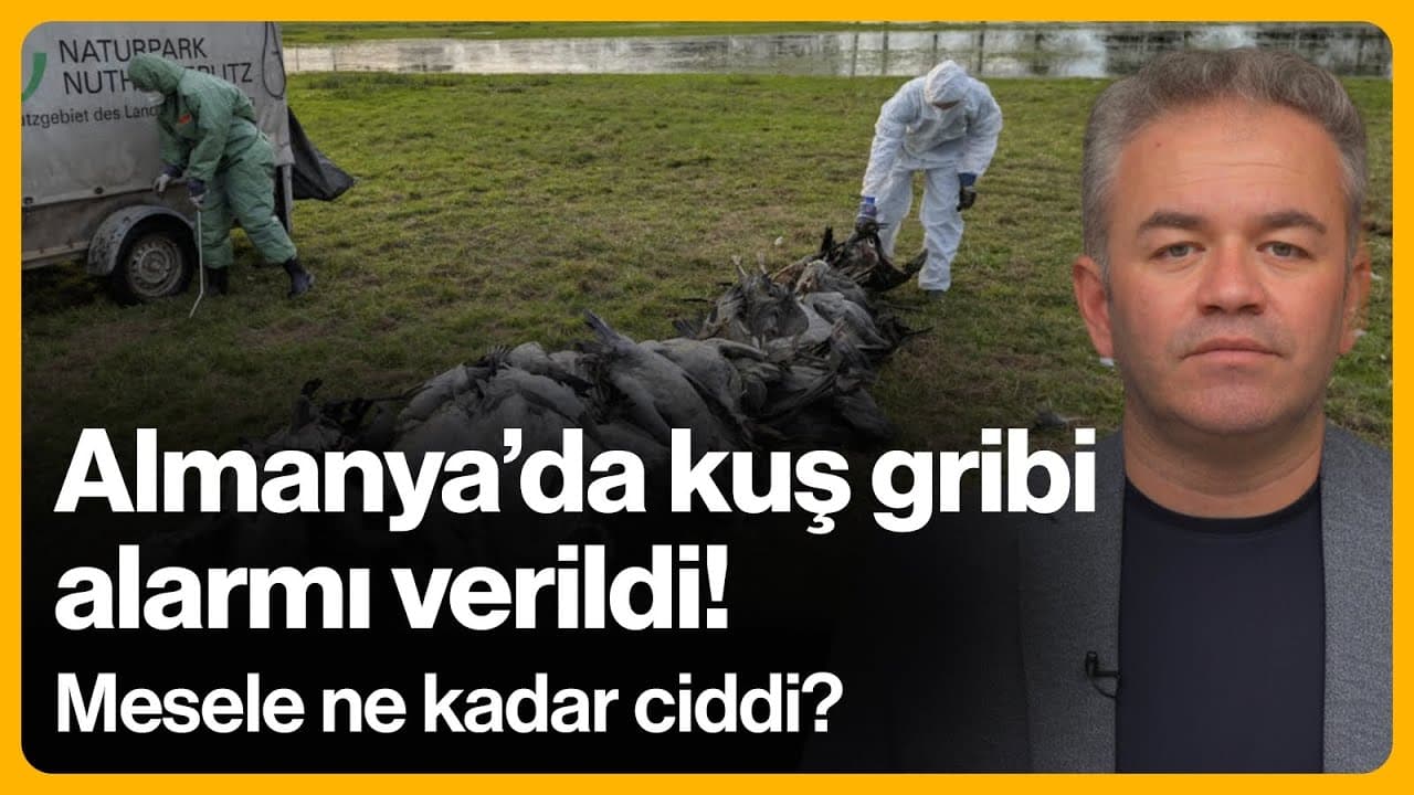 Almanya'da kuş gribi alarmı verildi! Mesele ne kadar ciddi? | 24 Ekim 2025 | Oktan Erdikmen