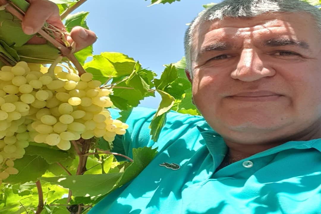 Üzümde ’erken kesim’ ihracatı olumsuz etkiliyor