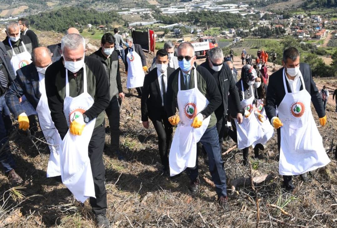 Yanan Adrasan ormanları yeniden ağaçlandırılacak