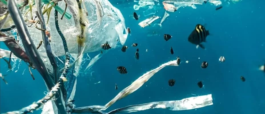 Pasifik Okyanusu’nda binlerce ton plastikten oluşan çöp yığını, insan sağlığını tehdit ediyor