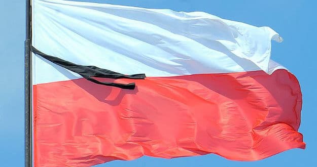 Polonya'da Oder Nehri'ndeki balık ölümleriyle ilgili iki yetkili görevden alındı