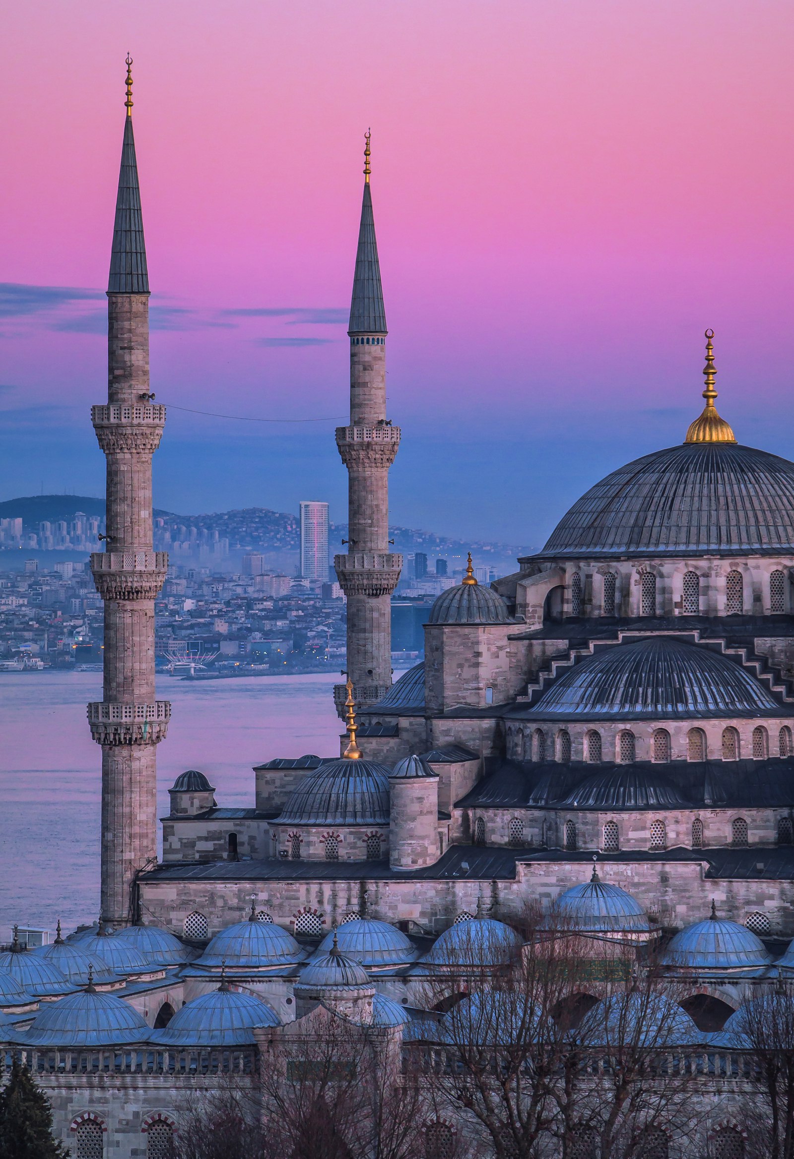 Sağlık ekipleri Bursa merkezde tarama yaptı